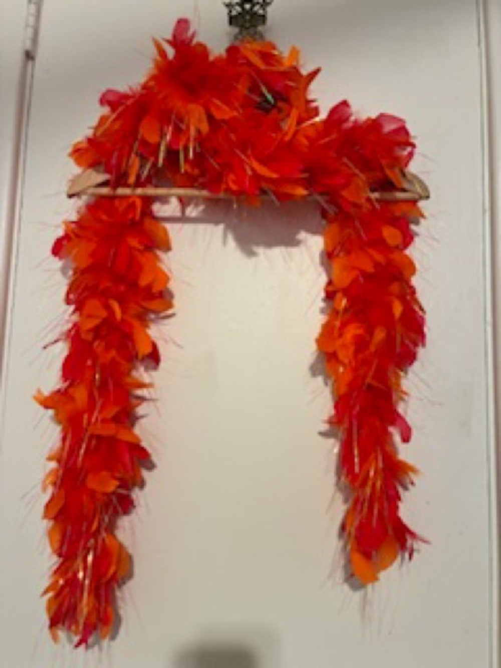 Red-Orange Feather Boa Scarf - Women Accessories